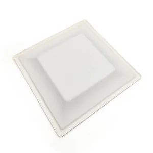 Eco-Friendly Disposable Kitchen Dinner Sets Plates Bagasse Square Plate 10'' Sugarcane Tableware Plates - Anhui Imp. & Exp. Co., Ltd. - China