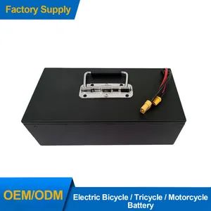 High Quality 60V Electric Bicycle/Motorcycle Battery for Citycoco 10ah/60ah Lithium Ion Packs 1000 Cycles Metal Casing - Guangzhou Lisheng Electronic Co., Ltd - China