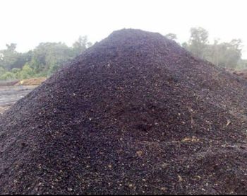 Palm kernel shells from ROYAL ART CONSTRUCTION Palm kernel shells - ROYAL ART CONSTRUCTION - Congo, The Democratic Republic of the