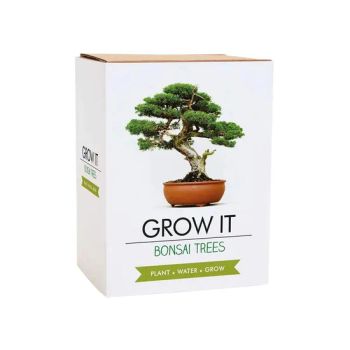 Grow It Grow Your Own Bonsai Tree Kit with Bonsai Seeds and Tools - Plant Fun ( Xiamen) Co., Ltd. - China