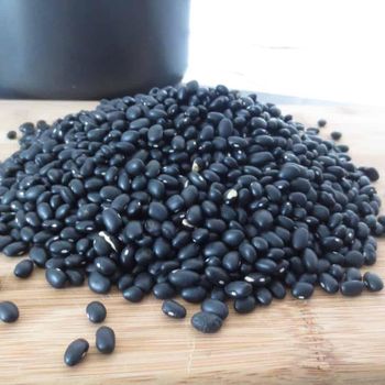Bulk Dried Black Bean Supplier Offering Top Quality Black Bean For Export And Wholesale Orders Worldwide - AGRO AFRIQUE COMPANY LIMITED - Tanzania