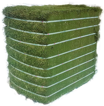 High Fiber Alfalfa Hay Natural And Fresh Alfalfa Hay Offered In Large Quantities For Easy Purchase - AGRO AFRIQUE COMPANY LIMITED - Tanzania