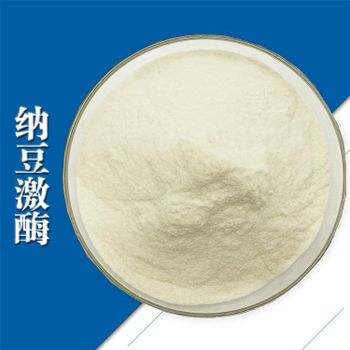 Nattokinase Safety Profile High Safety Purine Content Purine-free Activity Level High Activity Purity Pure Natto - Risun Bio-Tech Inc. - China