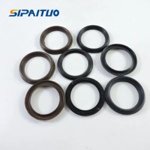 High Pressure Pump Mechanical Seal V or U Type Washer Seals Kit - Hebei SPT Seals Technology Co., Ltd. - China