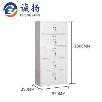 File Cabinets, Cold-Rolled Steel, Office Furniture File Cabinets, File Cabinets with Five Sections - Beijing Century Chengfeng Metal Products Co., Ltd. - China