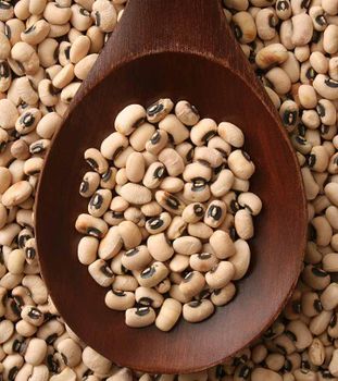 BLACK EYE BEANS - AGRO AFRIQUE COMPANY LIMITED - Tanzania