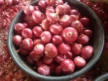 Red Onion - mkg bloom pvt ltd - India