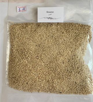 Seseme seed Organic Yes Packaging Size 50kg bags - YAB - Ethiopia