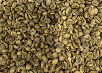 Premium Vietnam Robusta S18 Wet Polished Grade 1 Place of Origin Vietnam Max. Moisture (%) 12.5% Size > 90% above screen 18 - TTD Global Vietnam JSC - Vietnam