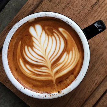 Vegan Non Dairy Creamer Powder Gluten Free Exporter MOQ 25kg Origin China HS Code 28363000 Model NO. creamer Specification - Hangzhou Union Biotechnology Co., Ltd. - China