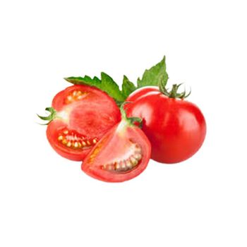 Preservative Free Fresh Organic Tomatoes For Export High Quality Premium Vegetable Food Product Wholesale Reasonable Price - BEST TRADE CORPORATION - Bangladesh