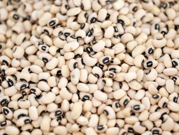 Black Eyed Peas (Premium Quality) - AGROCARTE EXIM ENTERPRISES PVT LTD - India