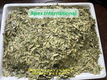 senna leaves number 3 ,Dry Senna , Senna Leaf, senna leaves bulk supplier from india - APEX INTERNATIONAL - India