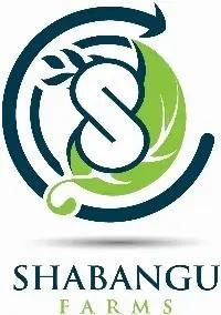 Product -  Shabangu Farms Limited  - Kenya