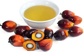 REFINED BLEACHED DEODORIZED (RBD) PALM OIL - malter group - Tanzania