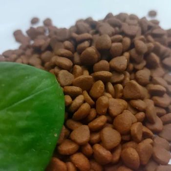Wholesome Organic Dog Treats - Healthy Baked Snacks for Pups Spec >1kg Origin China Appearance Dry Model NO. BK085 Brand Duomibang - Breta Navigator (Hebei) International Trading Co., Ltd - China