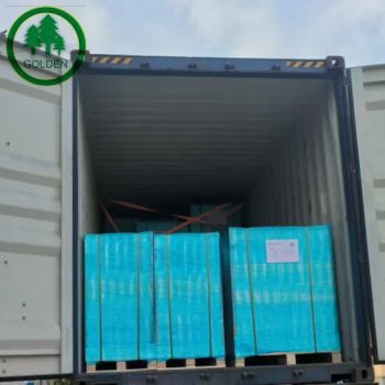 Factory Wholesale Price Colorful Offset Paper Bristol Board for Printing Stationery Packaging - Nanchang Golden Paper Co., Limited - China