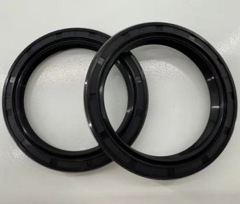 Customized Ffkm Perfluoroether Oil Seals, High-Temperature Resistant Oil Seals, Special Equipment Corrosion-Resistant Oil Seals - Guangzhou Xunchi Auto Parts Manufacturing Co., Ltd. - China