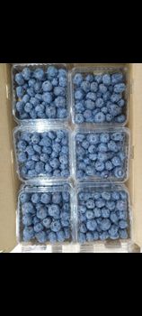 Blueberry – product photo, Blueberry products found from trusted suppliers, wholesalers, manufacturers & exporters Listing