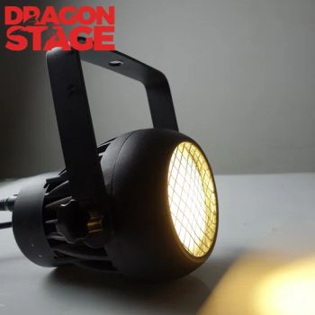 Dragonstage Mini 50W PAR Spotlight Ceiling Reflector COB LED Grow Light - FOSHAN DRAGON STAGE EQUIPMENT CO.,LTD - China
