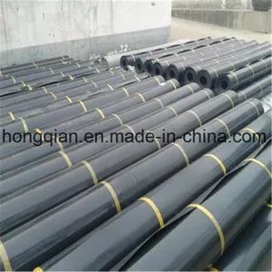 60mil 20mil 100mil 80mil 30mil 45mil Smooth and Textured Side HDPE Dam Shrimp Pond Linerldpe LLDPE ASTM HDPE Geomembrane Factory Price - Dezhou Hongqian Industries Co., Ltd. - China