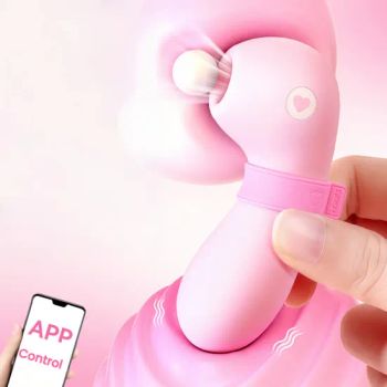 Popular Sex Toy Vibrator with Elegant Rose Shape for Aesthetic Appeal - Sichuan Dsy Trading Co., Ltd - China