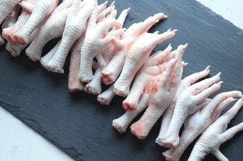 Frozen Chicken Feet Chicken Paws for Sale / 100% Fresh Frozen Chicken Feet Bulk Purchase OEM Packaging For Sale - Carla Pisselli Commercio - Brazil