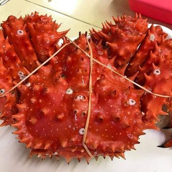 Frozen King Crabs / Live King Crab / Live Coconut Crab - VERTEX TRADING LIMITED - United Kingdom