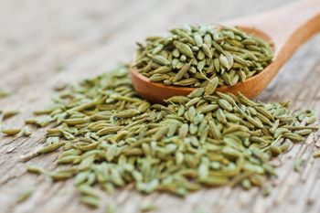 Fenne Organic Yes Origin Other Shelf Life 2 year Freshness Level Fresh Degree of Processing Other - Dharini Fresh & Natural - India