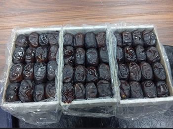 Premium Iranian Mazafati Dates – product photo, Mazafati Dates products found from trusted suppliers, wholesalers, manufacturers & exporters Listing