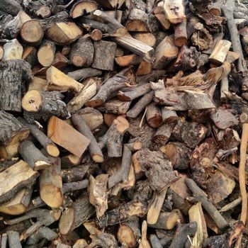 Premium Natural Oak Firewood Hardwood Fuel Long Burning Firewood for Fireplaces Stoves Ovens Heating and Outdoor Cooking - agroturaspzoo - Poland