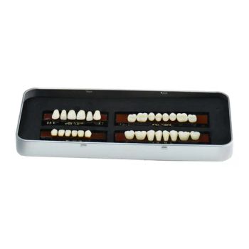 Dental Lab Materials Upper and Lower Cover Dental False Acrylic Teeth Denture - Anyang Yingpai Dental Materials Co., Ltd. - China