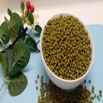 Fresh Green Mung Beans Whole Dried Pulses Natural Taste High Nutrition Rich Fiber Ideal For Soup Curry Sprouts And Bulk Food Supply Buy Now Fast Delivery Premium Quality Wholesale - wood traders - Poland
