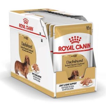 Royal Canin Pet Food from Zabs Holdings Royal Canin Pet Food - Zabs Holdings - South Africa