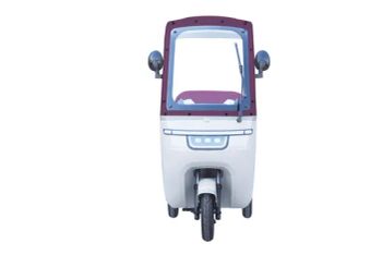 Lightweight Recreational Tricycles Toughened Glass Electric Tricycles for Passengers - Taizhou Zhiyi Technology Co., Ltd - China