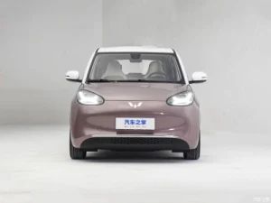 Wuling Bingo 2023 BEV 4Seat 501-800W EPA 1Y Container Type BEV Seat No. 4 Origin China Power 501-800W Body Type Closed Trademark wuling - South East Motor Import & Export Co., Limited - China