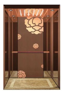 Fujixun CE Commerical Mrl Goods Passenger Elevators Home Villa Elevator Lift Panoramic Bed Hospital Stretcher Elevator Car Lifts - Shengxun Elevator (Zhejiang) Co., Ltd. - China