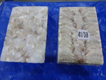 FROZEN VANNAMEI, BLACK TIGER SHRIMP, RIVER (THELLY SHRIMP), SEA CAUGHT SHRIMP - KUBER SEA FOODS - India