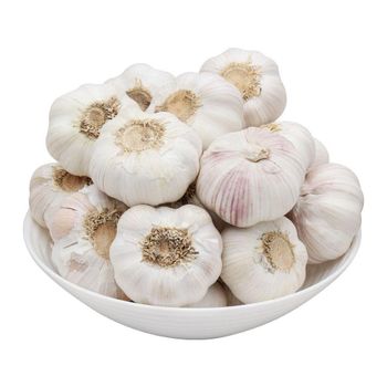 Fresh Garlic Direct From Farm Fresh Garlic Packed Carefully For Wholesale And Fresh Garlic Supply In Bulk from malter group Fresh Garlic Direct From Farm Fresh Garlic Packed Carefully For Wholesale And Fresh Garlic Supply In Bulk - malter group - Tanzania