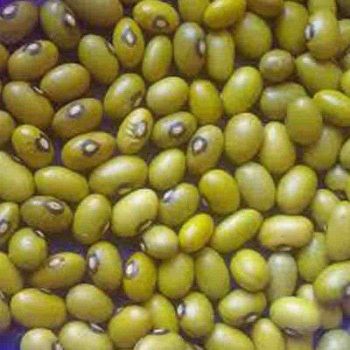 Yellow Beans – product photo, Dry Yellow Beans products found from trusted suppliers, wholesalers, manufacturers & exporters Listing