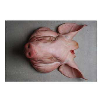 FROZEN Pork Head MEAT BRAZIL ORIGIN Available for Shipment TO ANY PORT 100% Preserved Frozen Pork Head Fresh Nature Frozen Pork Head Meat Color Clean FROZEN Pork Head READY FOR SHIPMENT ANY PORT OF YOUR CHOICE High Quality Frozen Pork Head available from Brazil - GLOBOTO TRADE BRASIL LTDA - Brazil