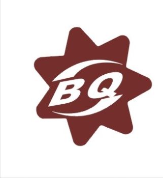Product - Zhejiang Baiqiang Transmission Industry Co., Ltd. - China
