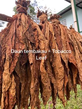 Premium Virginia Tobacco Leaves