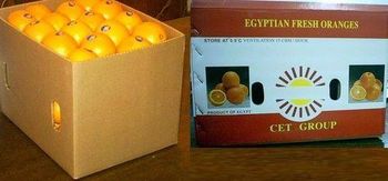 Citrus , grapefruit , orange Type fresh Packaging standard Lime Availability All Year Lime Net Weight 15kg 15 Kg Total Production 20000 Tons - Sma Arabia for international trading - Egypt