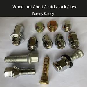 Factory of Wheel Lug Nuts, Wheel Cap Nuts, Wheel Lock Nuts, Hub Bolt Wheel Nut for Car Truck Tyre Trailer & Rim OEM / Tuner - Ningbo Luyou International Trade Co., Ltd. - China