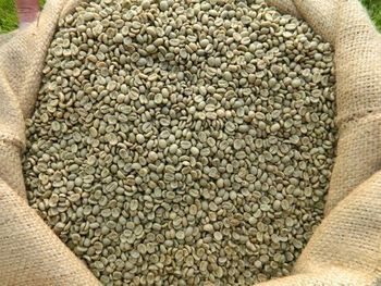 Arabica Coffee Bean Admixture 0.5% Max Product Type Beverages Foreign Matter 0.5% Max Screen 18 Pass Rate 90% Moisture Content 13% - diamond forever Africa limited - Kenya