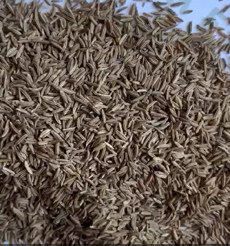 CARAWAY SEEDS Price Per Metric Ton 1100 Usd - NATIONAL HERBS FOR EXPORT - Egypt