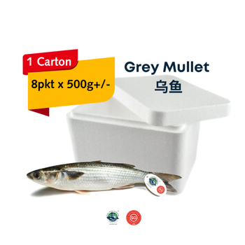 Fresh Grey Mullet (500g) x 8pkt - The Fish Farmer Pte Ltd - Singapore