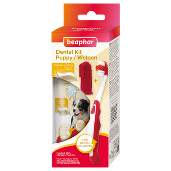 Beaphar Puppy Dental Kit - BEAPHAR B.V - Global