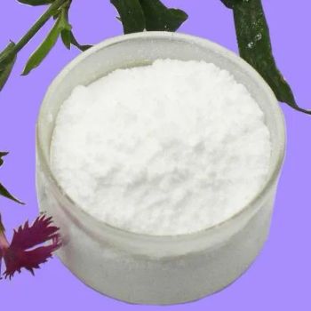 Magnesium Citrate CAS144230 Citric Acid Mg Salt 1Y MOQ100 - Ningbo Surest Chemical Co., Ltd. - China